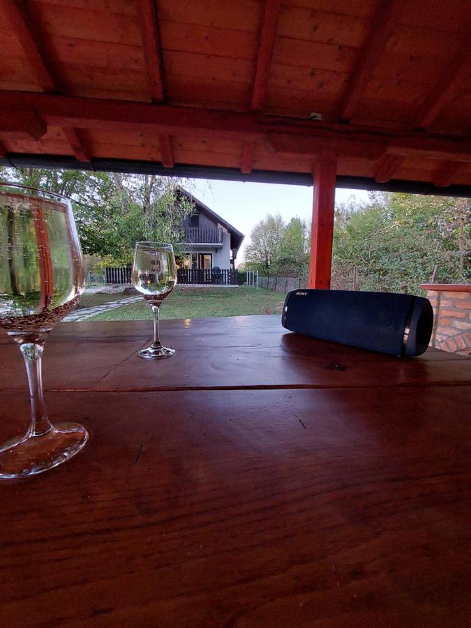 House Kupa Mb Villa Petrinja Buitenkant foto