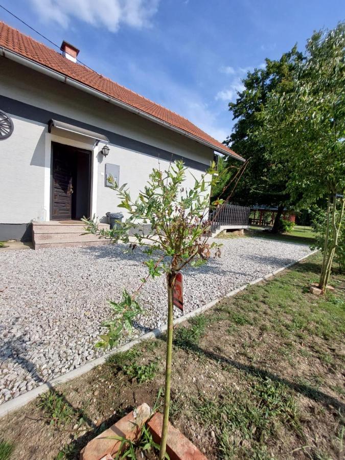House Kupa Mb Villa Petrinja Buitenkant foto