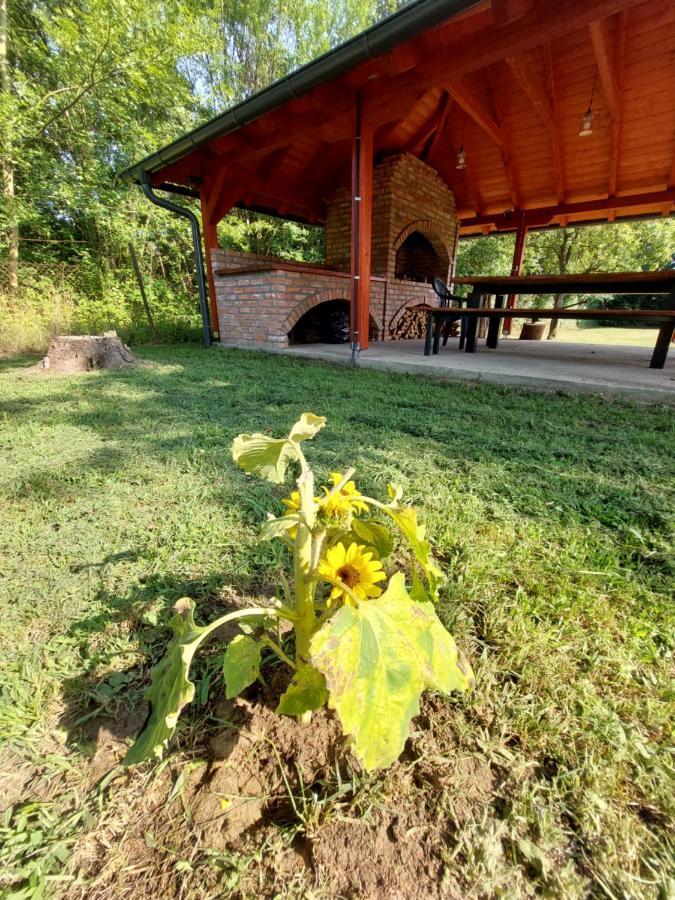 House Kupa Mb Villa Petrinja Buitenkant foto