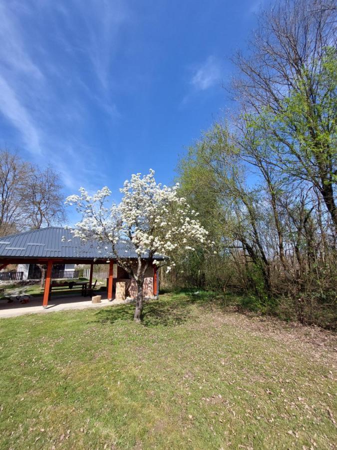 House Kupa Mb Villa Petrinja Buitenkant foto